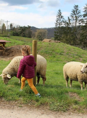 La ferme pédagogique d’Argentin à Lièpvre