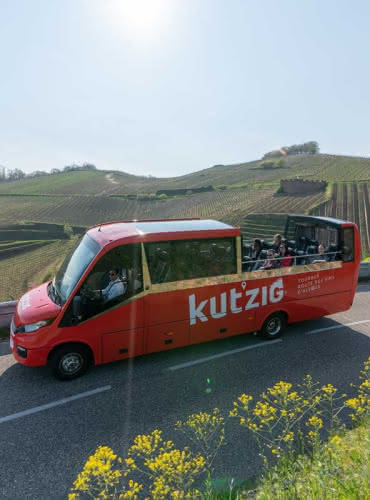 Le bus-cabriolet Kutzig sillonne la Route des Vins d'Alsace. Montez et descendez en toute liberté !