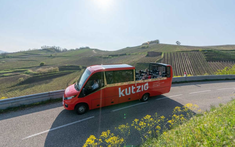 Le bus-cabriolet Kutzig sillonne la Route des Vins d'Alsace. Montez et descendez en toute liberté !