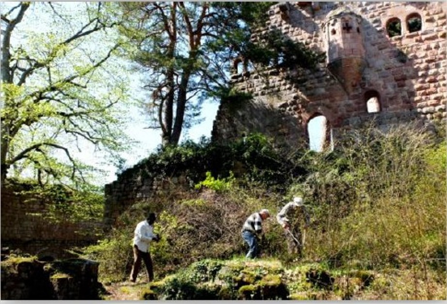 Animations au château du Landsberg Le 22 sept 2024