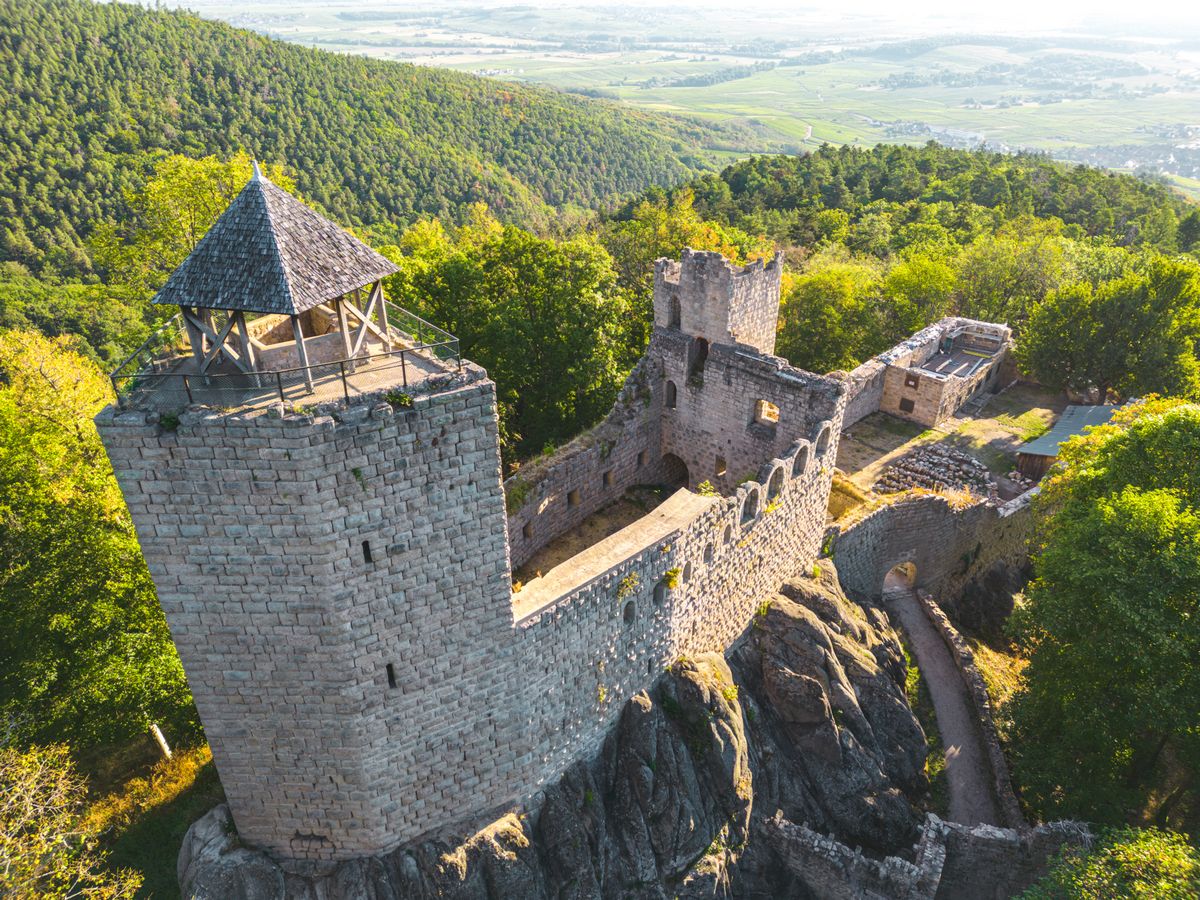 Journée des bénévoles au château du... Du 16 août au 14 nov 2024