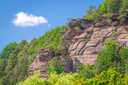 OTi de l'Alsace Verte