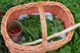 Atelier Cuisiner avec la nature Le 27 oct 2024