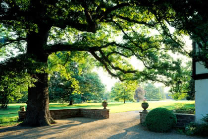 Parc de Schoppenwihr