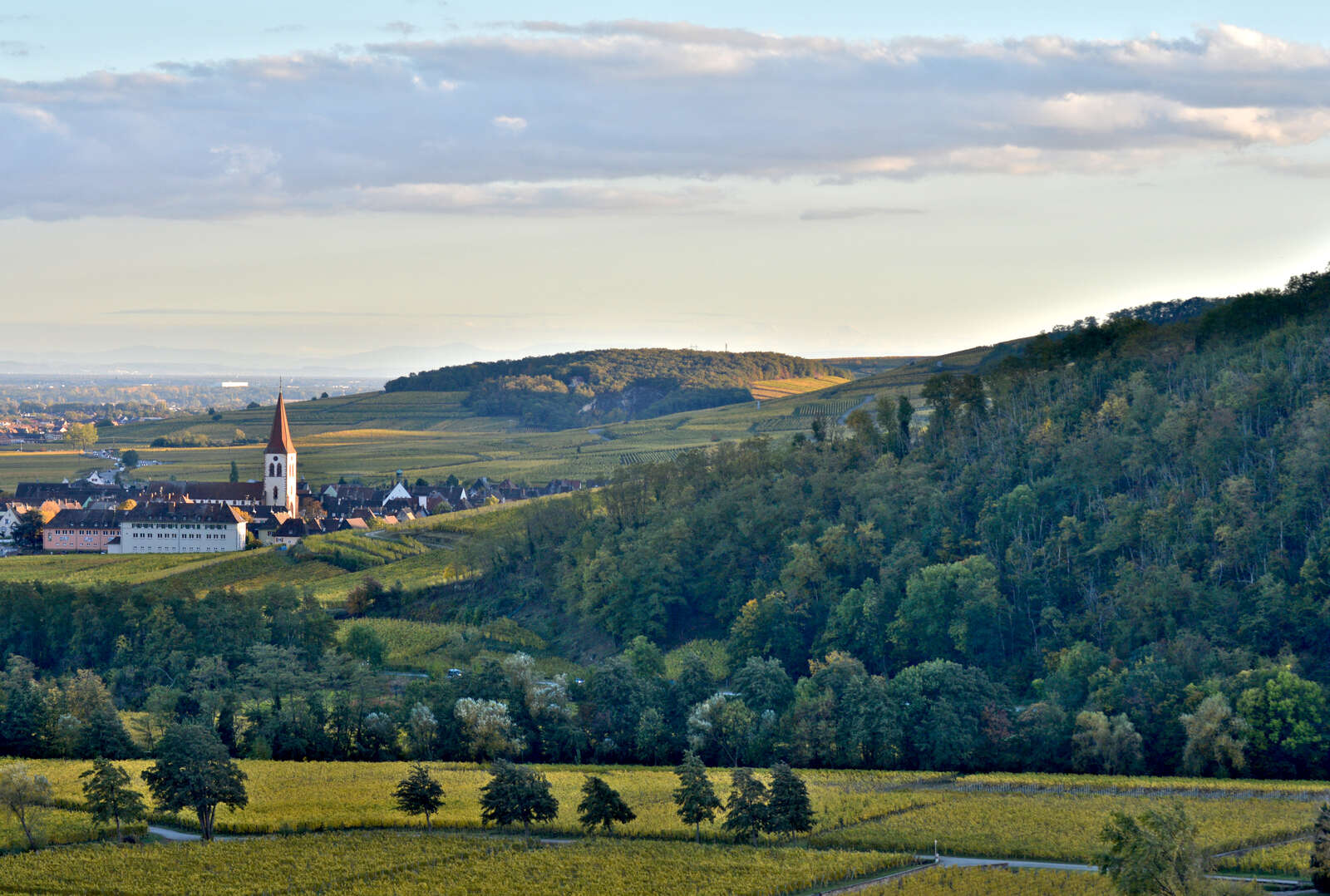 Mini-rallye - Découverte du vignoble Du 19 août au 24 déc 2024