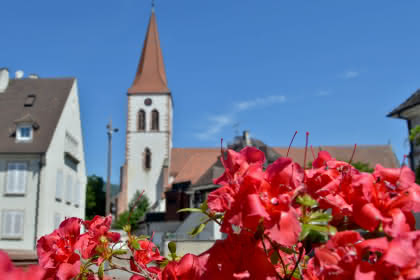 Office de tourisme Vallée de Kaysersberg