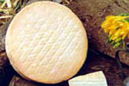 Fromage de Munster en Alsace