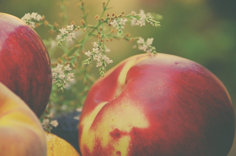 Exposition de variétées fruitières