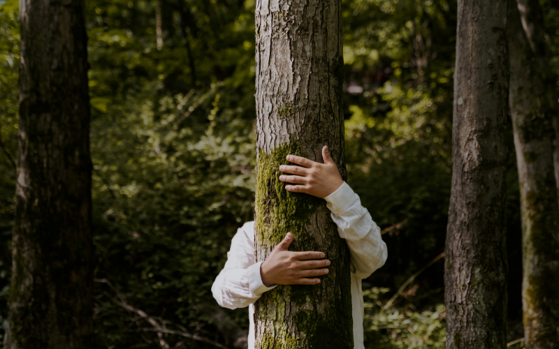 Conférence : Écologie, pourquoi c