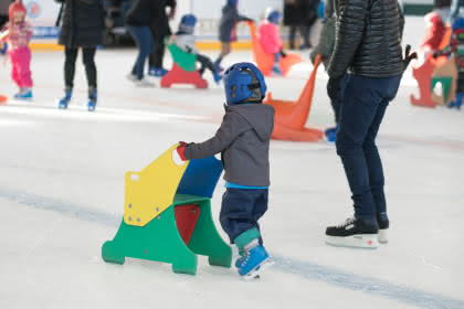 Site Patinoire de Colmar