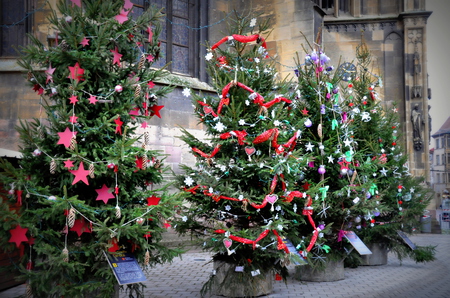 Exposition des sapins du Pays de Thann-Cernay Du 22/11/2024 au 6/1/2025