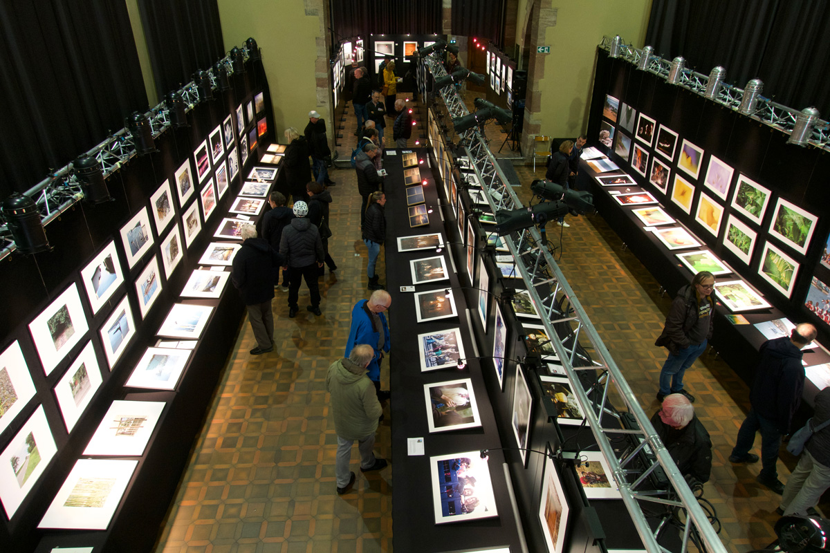 Rencontres photographiques des 3 pays Du 26 oct au 10 nov 2024