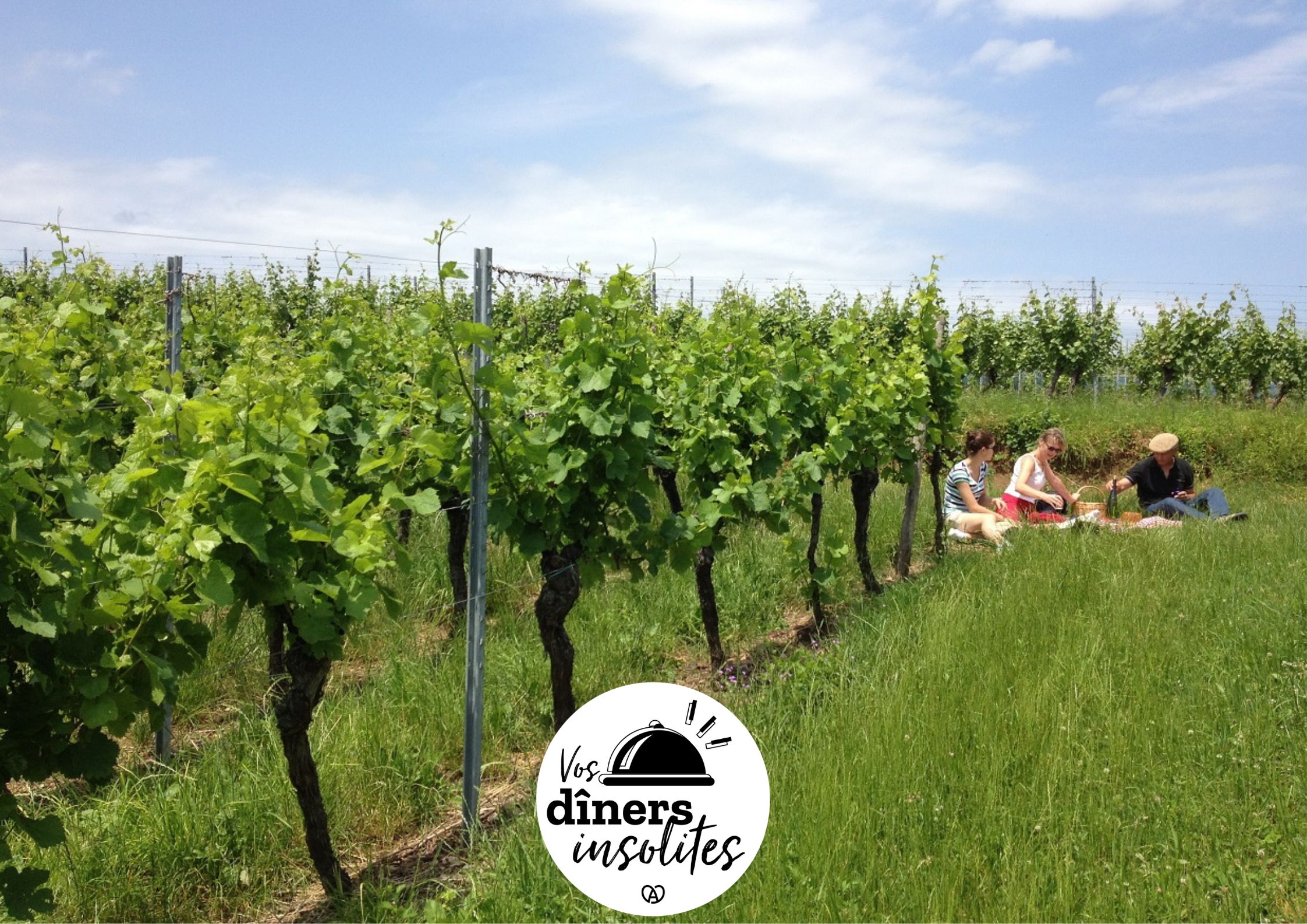 Pique-nique insolite des vignerons dans les vignes Le 6 oct 2024