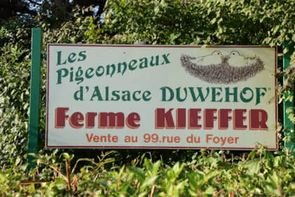 Ferme Kieffer - ©Google