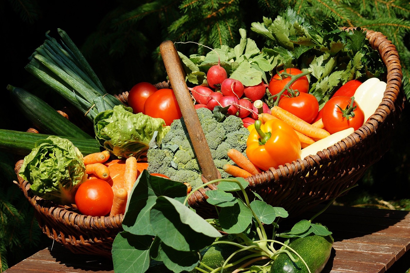 Marché hebdomadaire Du 15 oct au 31 déc 2024