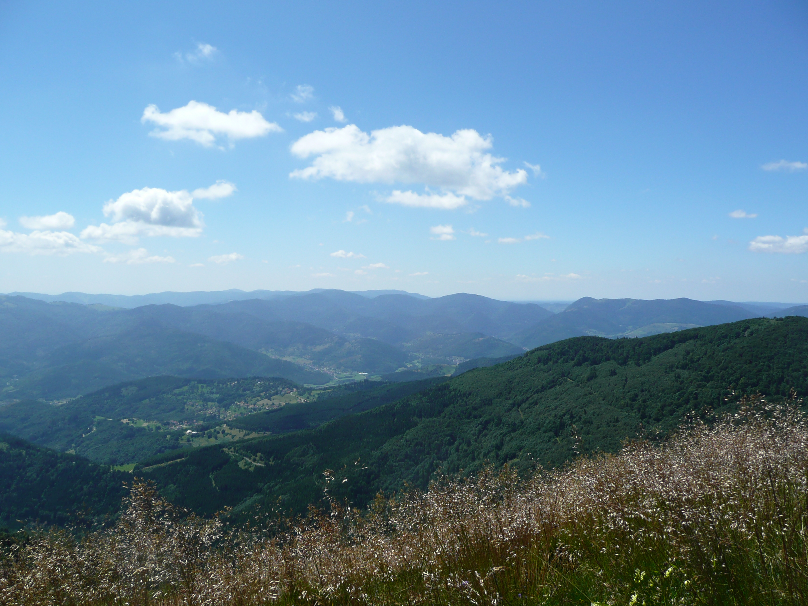 Colloque : La pratique de la marche dans les Vosges